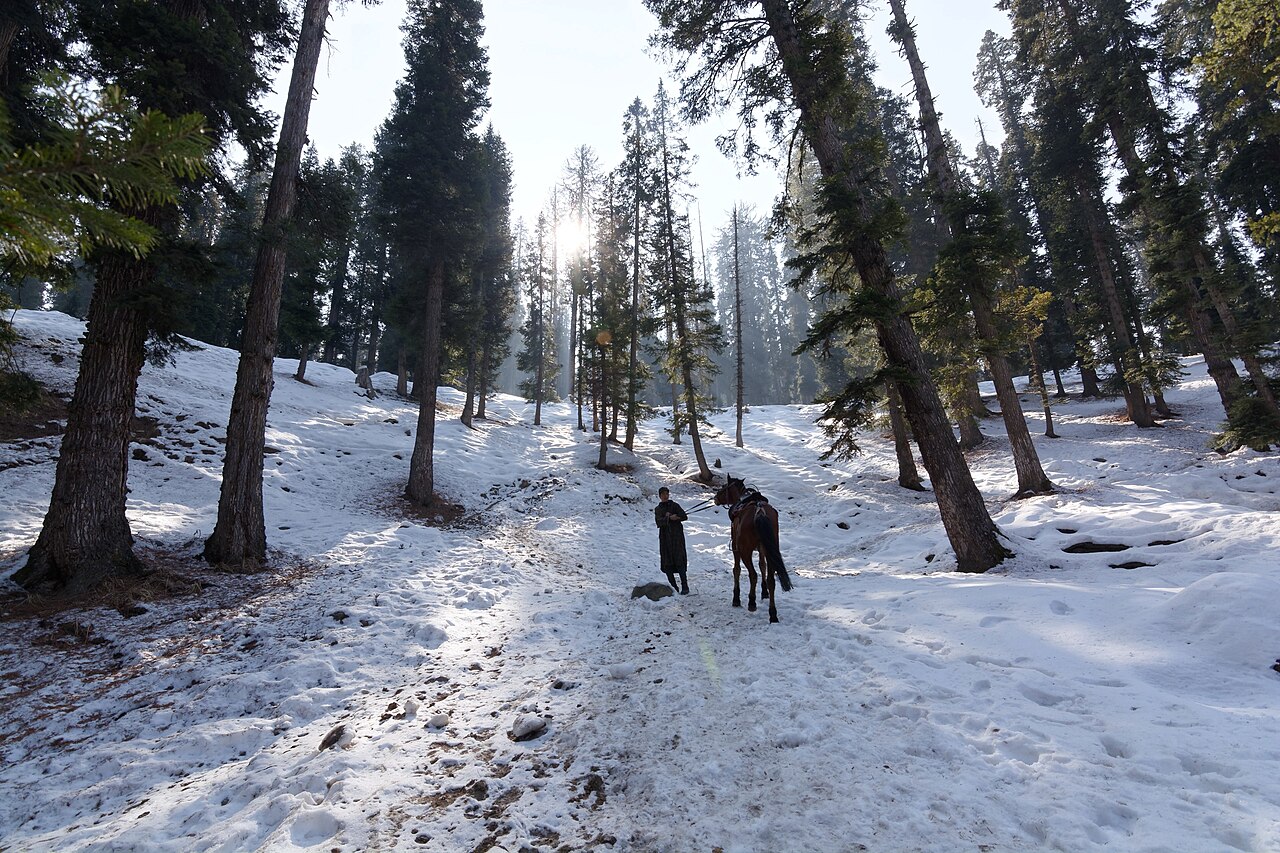 Kashmir valley near Pahalgam