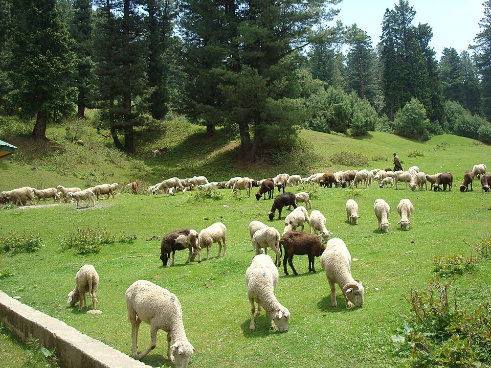 Yusmarg