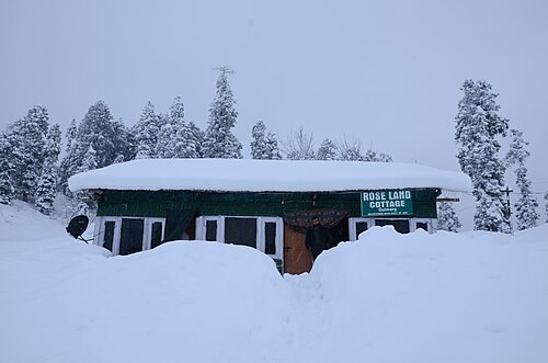 Kashmir