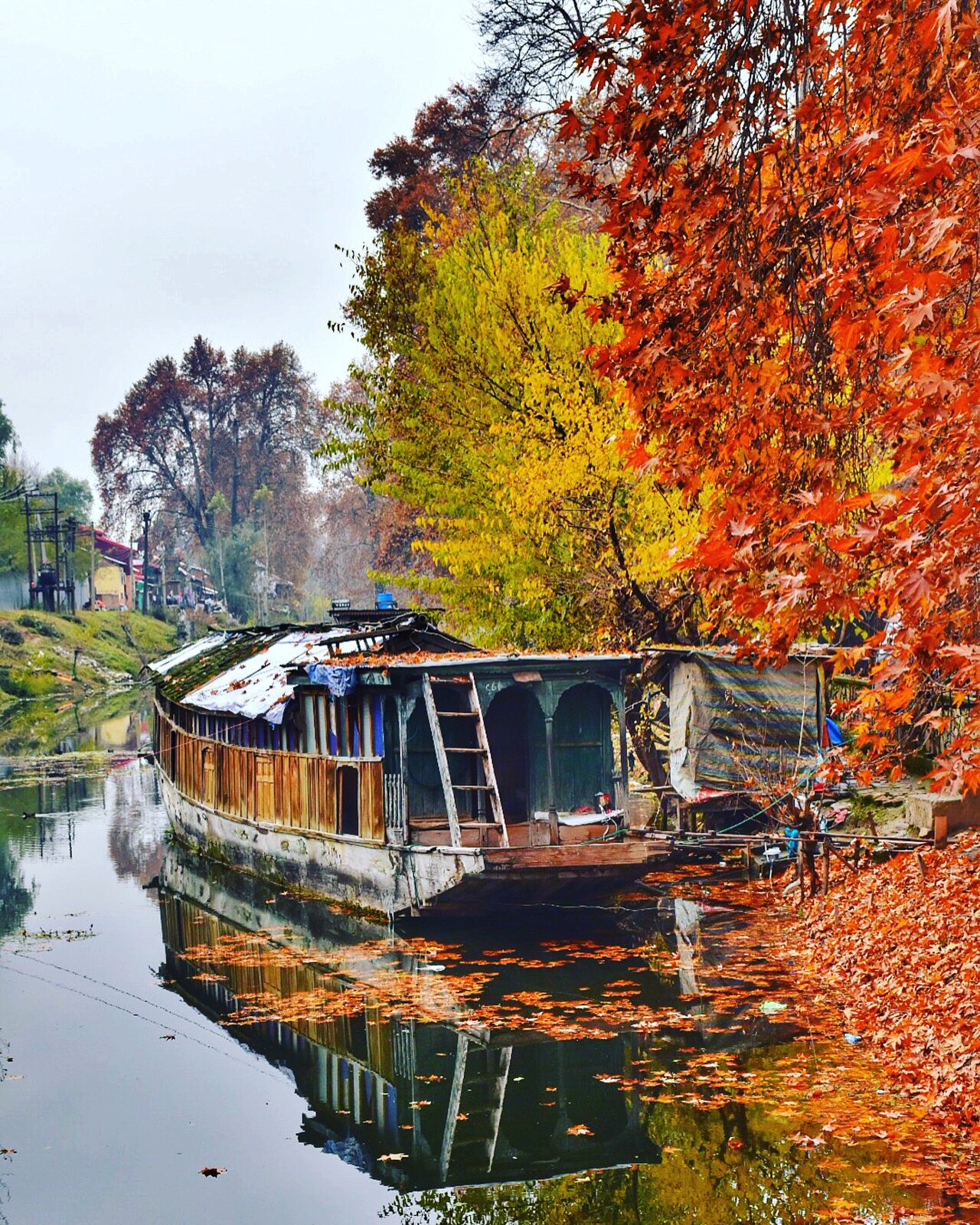 Deluxe Cedar Houseboat